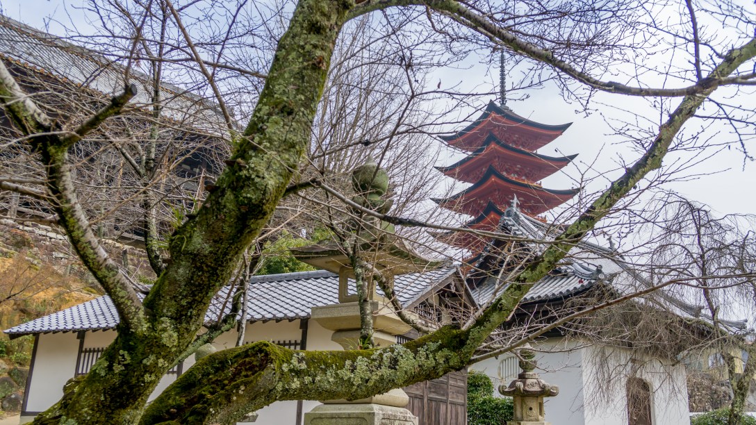 Hiroshima - Miyajima Island 1