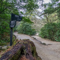 Exploring Miyajima Island
