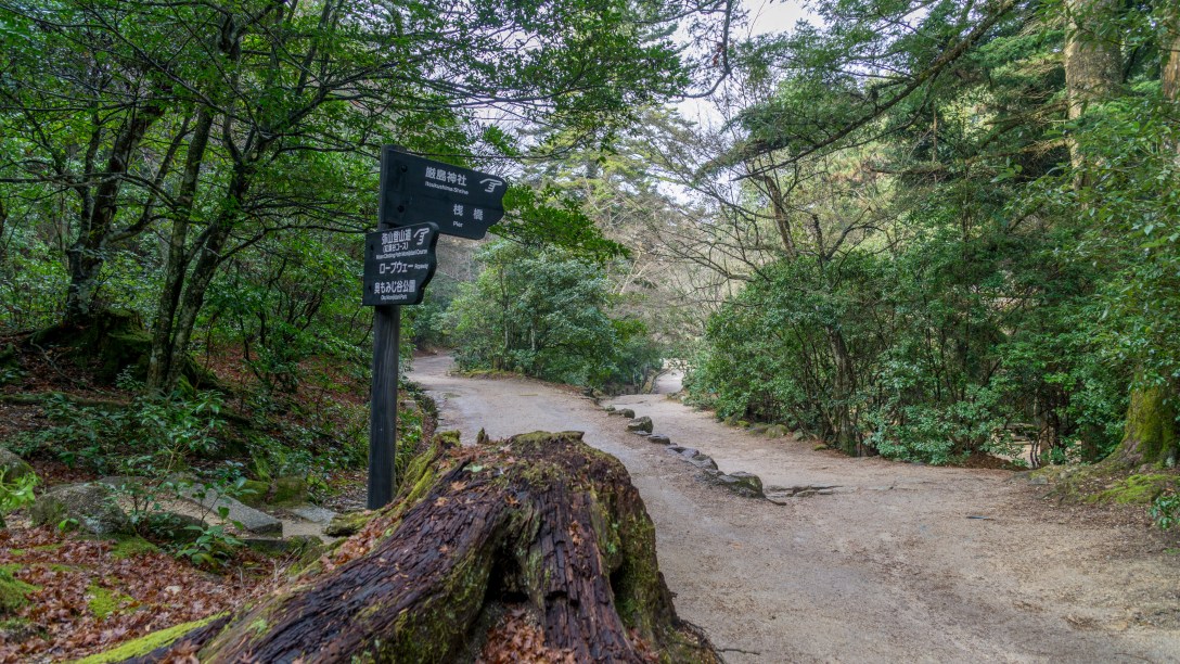 Hiroshima Day - Miyajima 6