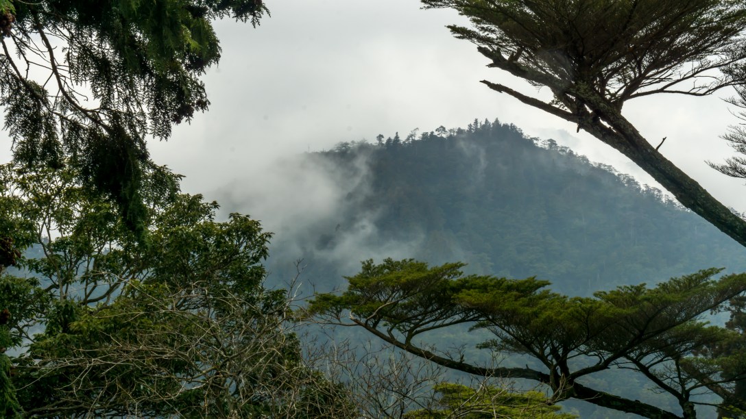 Hiroshima Day 1 (8 of 9)