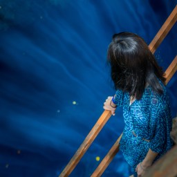 Cenote dreaming in Mexico