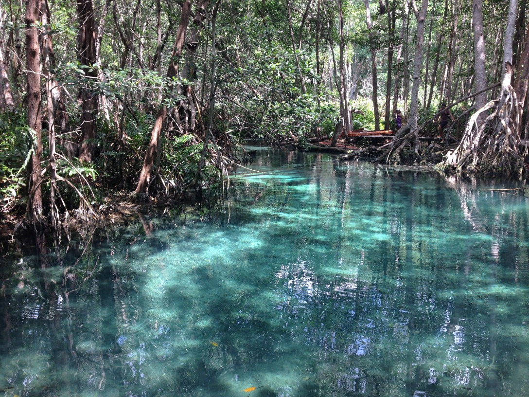 Yalahau Lagoon in Isla Holbox, Mexico