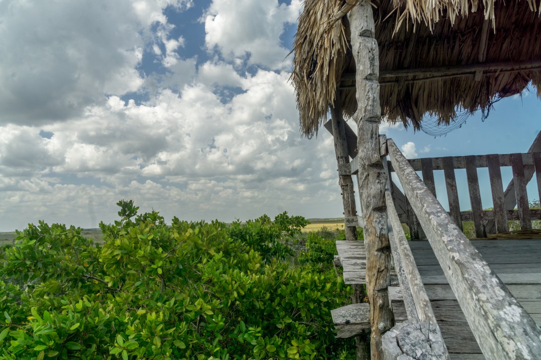 Isla Holbox-27