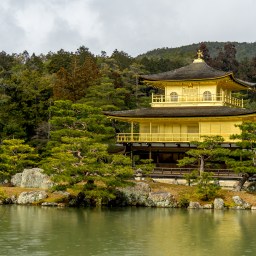 Kyoto: Two temples and a tea room