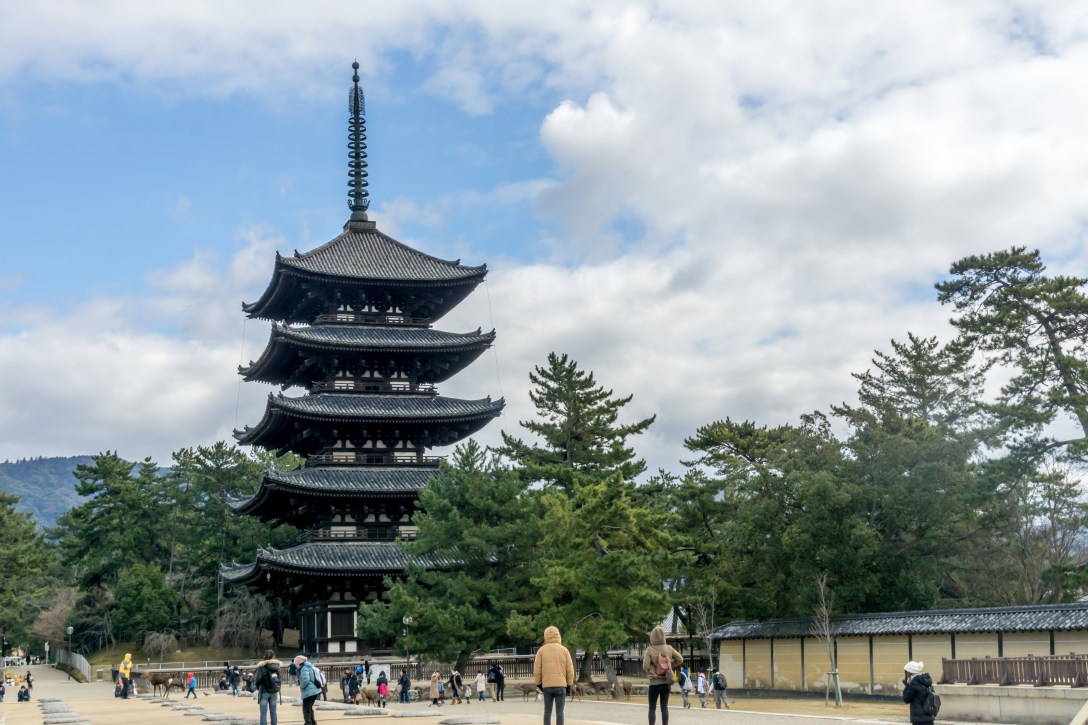 Kyoto and Nara-17