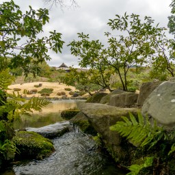 Unexpectedly awesome Nara