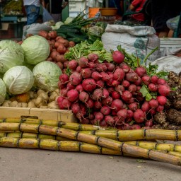 Current location: San Ignacio, Belize
