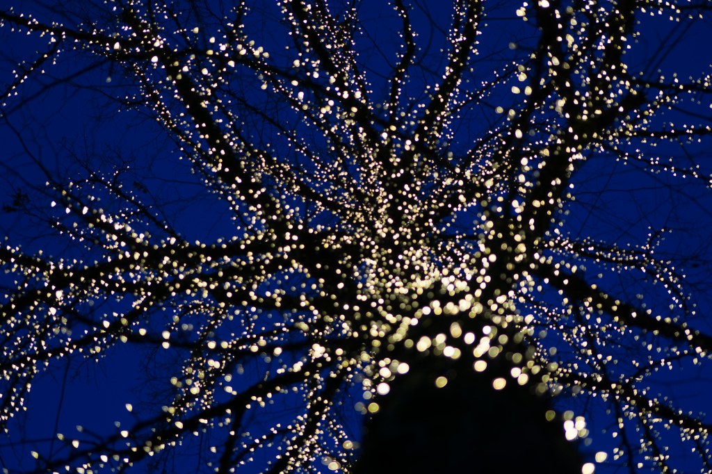 Come join us on our Journey