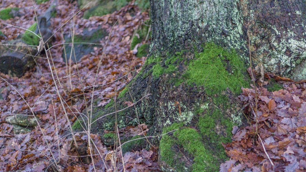 Come join us on our Journey