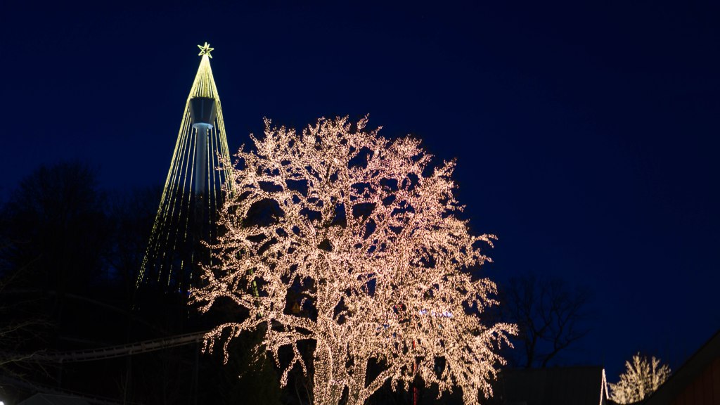 Come join us on our Journey