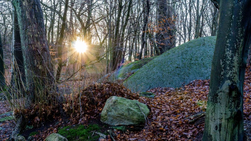 Come join us on our Journey