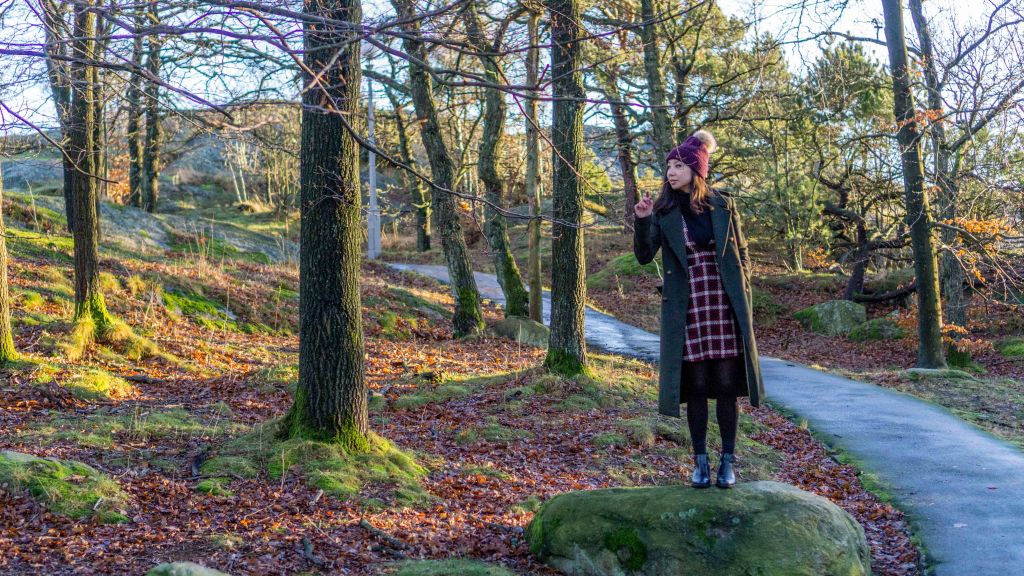 Come join us on our Journey